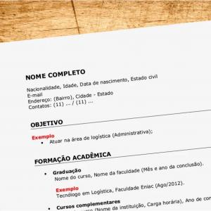 Confecção de Currículo /  Gravação em Pendrive      